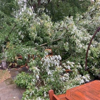 Southern End Tree Service - Patio - Tree Services Near Me Southern End Tree Service - Patio - Tree Services Near Me