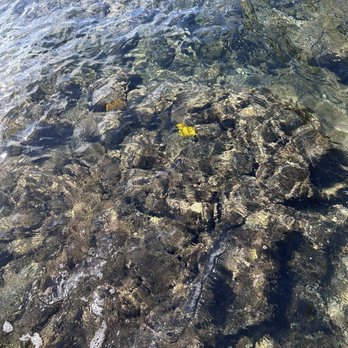 Kona Boys - Tangs - Rafting/Kayaking Near Me - Kealakekua, Hawaii