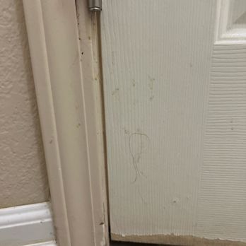 Majestic Mountain Inn - Hair on the door - Hotels Near Me - Payson, Arizona Majestic Mountain Inn - Hair on the door - Hotels Near Me - Payson, Arizona