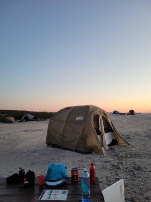 Assateague Island National Seashore by null
