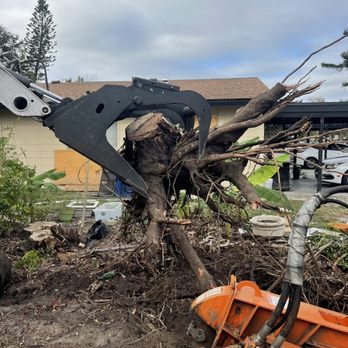 Lamb Tree Care - Stump Removal - Tree Services Near Me - Sarasota, Florida