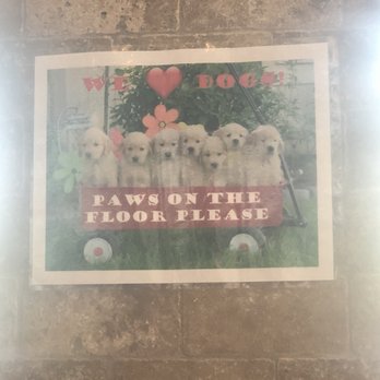 Saquella Cafe - Furry friends welcome - Breakfast & Brunch Near Me - Boca Raton, Florida Saquella Cafe - Furry friends welcome - Breakfast & Brunch Near Me - Boca Raton, Florida