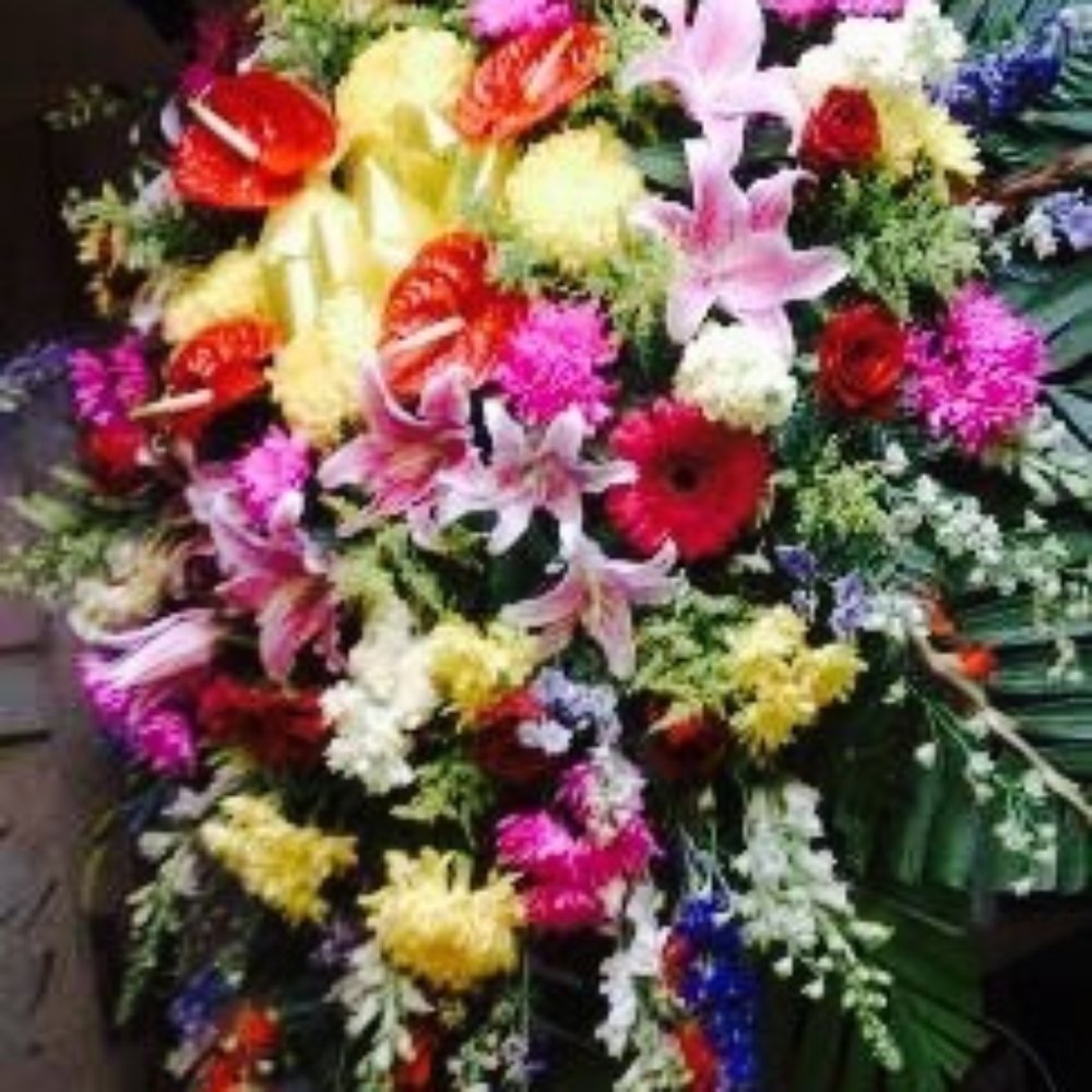 Wakefield Florists - Florists Near Me - Los Angeles, California Wakefield Florists - Florists Near Me - Los Angeles, California