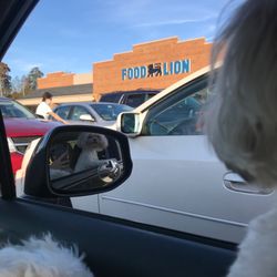 Food Lion