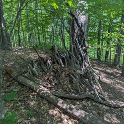 Hunt Hill Nature Center - Nature