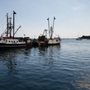 Photo of Sea Well Seafood