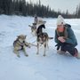 Photo of Sled Dog Adventures