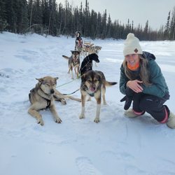 Sled Dog Adventures - Best time ever wish I did the 2 hour tour!