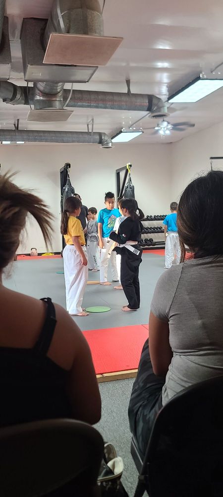 Sampa BJJ Academy Logo