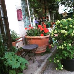 Bistro dai Galli - #bistrodaigalli @ciciano(SI)