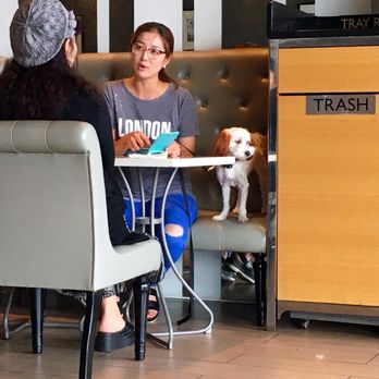 Paris Baguette - Coffee & Tea Near Me - Milpitas, California Paris Baguette - Coffee & Tea Near Me - Milpitas, California
