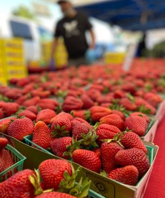 Evergreen Farmers' Market by null