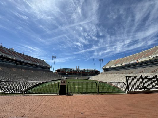 Clemson University by null