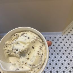 Toasted Coconut Ice Cream