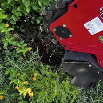 Oakley’s Stump ‘N Grind - Tree Services Near Me