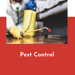 Best pest control services near me