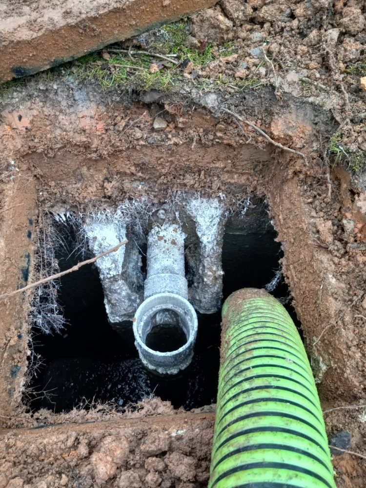 Slide of Double Deuce Septic Service