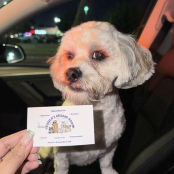 Orange Friendly Animal Hospital - Veterinarians Near Me - Orange, California Orange Friendly Animal Hospital - Veterinarians Near Me - Orange, California
