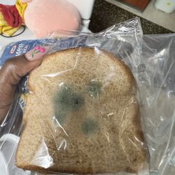 Atrium Health Mercy, A Facility Of Carolinas Medical Center - Molded bread my mom was about to eat that was in her room