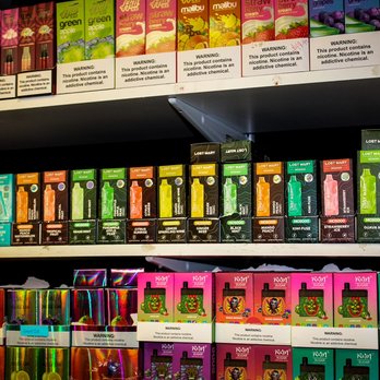 The bodega - a variety of teas on a shelf - Vitamins & Supplements Near Me - Greeley, Colorado The bodega - a variety of teas on a shelf - Vitamins & Supplements Near Me - Greeley, Colorado
