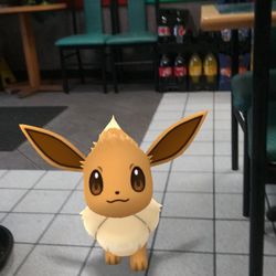 China King of Allentown - Wife did a little pokemon while there... lol
