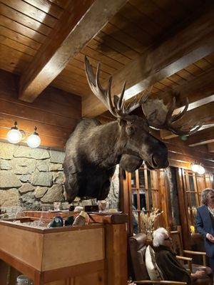 Rainbow Lodge by null