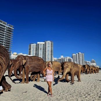 The Great Elephant Migration - Public Art Near Me - Miami Beach, Florida The Great Elephant Migration - Public Art Near Me - Miami Beach, Florida