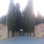 Büyükada Mezarlığı