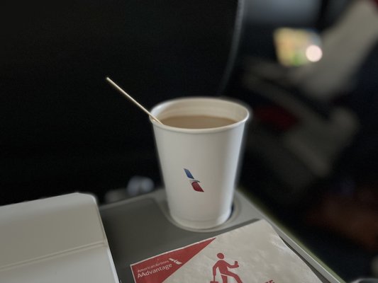 American Airlines by null