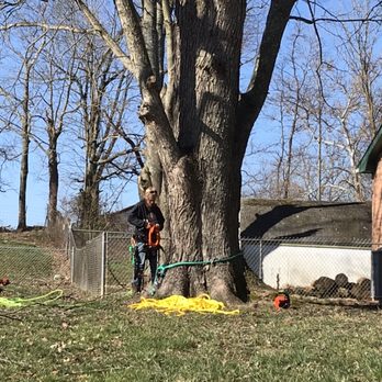 Red Squirrel Tree Services - Setting up for the job. - Tree Services Near Me Red Squirrel Tree Services - Setting up for the job. - Tree Services Near Me
