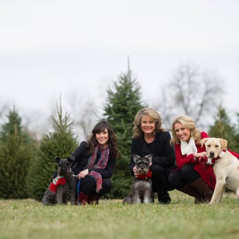 The Lane Team - Real Estate Agents Near Me - Lexington, Kentucky The Lane Team - Real Estate Agents Near Me - Lexington, Kentucky