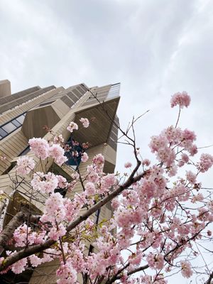 John P. Robarts Research Library by null