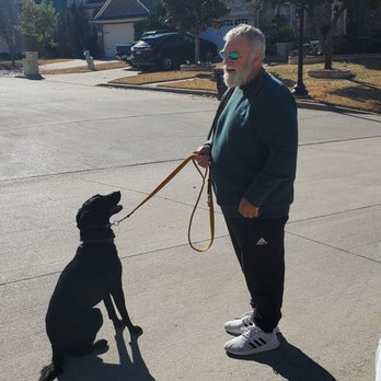 K-9 Connection - Dog Training - Pet Training Near Me