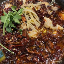 Big Sichuan Fish