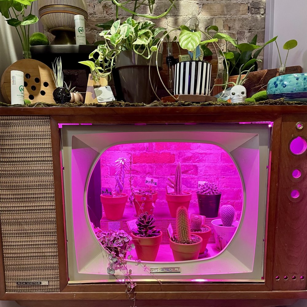 MYPLANTTERRA Updated September 2024 133 E Chicago Blvd, Tecumseh