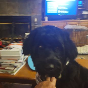 Pups-N-Suds - Pet Groomers Near Me - Gardner, Kansas