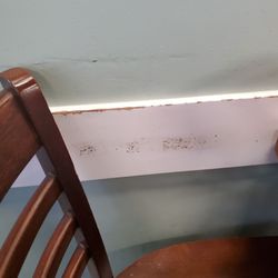 Gulberg Tandoor - The chair rail terrible the whole restaurant is really in desperate need of a renovation