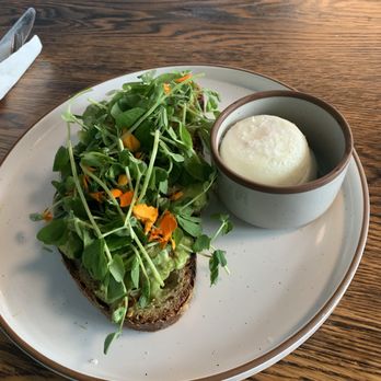 Cat & Cloud Coffee - Avocado toast with poached eggs - Coffee & Tea Near Me - Santa Cruz, California