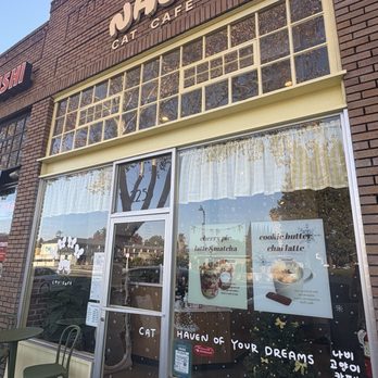 Nabi Cat Cafe - Themed Cafes Near Me - Santa Clara, California Nabi Cat Cafe - Themed Cafes Near Me - Santa Clara, California