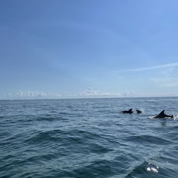 Easy Adventures Boat Tours - Boat Tours Near Me - Islamorada, Florida Easy Adventures Boat Tours - Boat Tours Near Me - Islamorada, Florida