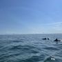Photo of Easy Adventures Boat Tours