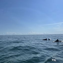 Easy Adventures Boat Tours