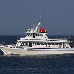 Miss Avalon Fishing - Miss Avalon