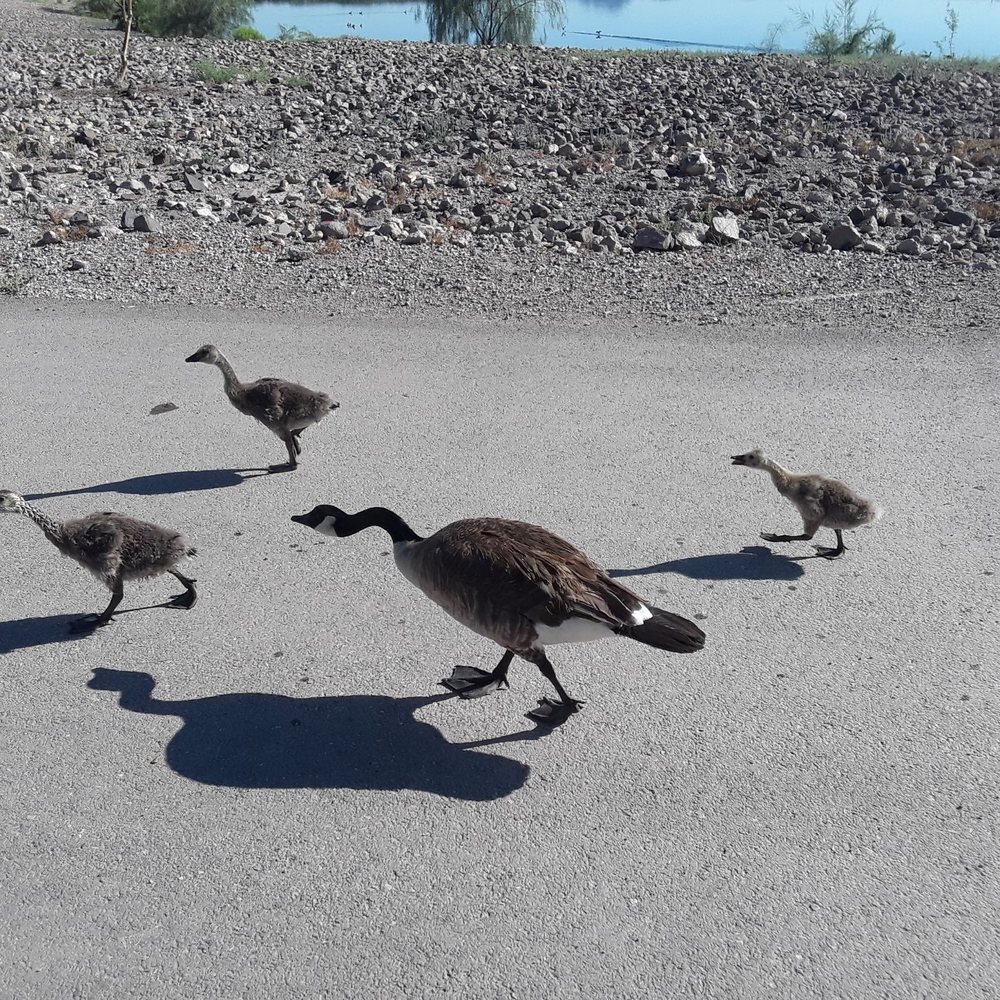 Cornerstone Park - Lakes Near Me - Henderson, Nevada