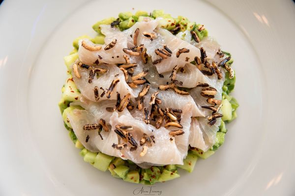 Island Market Trigg by null