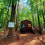 Photo of The Trails at Wesleyan Woods