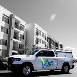 Pest Pros Pest Solutions
