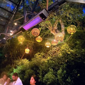 FIREFLY - 2945 Photos & 3131 Reviews - 11720 Ventura Blvd, Studio City