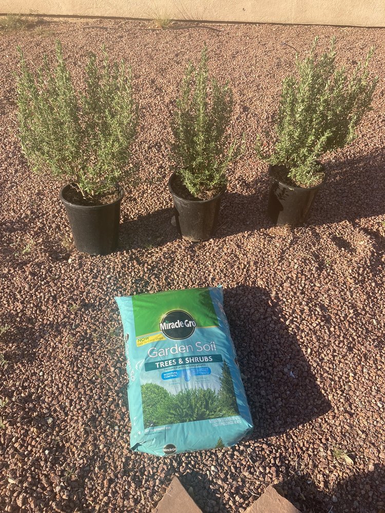 Star Nursery gift card