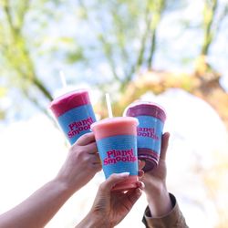 Planet Smoothie